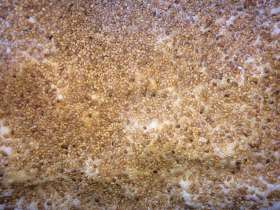 Nghệ nhân bên chậu lửa