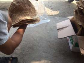 Quạt bánh đa Chòm